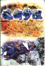 魂断梦醒 中国知青上山下乡风云纪实 1996 PDF电子版封面 7806020764 杜鸿林编著