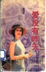 日本电视小说-爱,没有昨天 1997 PDF电子版封面 7805065394 野岛伸司著;黄明珠译