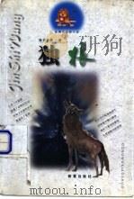 独狼 1998 PDF电子版封面 7530721526 金曾豪著