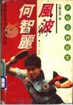 何智丽风波 1995 PDF电子版封面 7225010301 叶永烈著