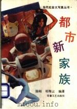 都市新家族 1994 PDF电子版封面 7539612231 杨刚,邓翔云编写