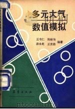 多元大气数值模拟   1991  PDF电子版封面  7502910069  王书仁等编著 