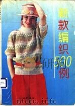 新款编织500例 1993 PDF电子版封面 7105020458 林园编