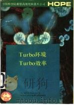 TURBO环境TURBO效率 Sidckick、Supcrkcy和Turbc Lingtning的妙用 1991 PDF电子版封面 赵垣永等编译