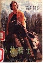 丛林骑士（1988 PDF版）