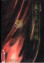 土与火的情愫 1994 PDF电子版封面 7805922632 张永农主编