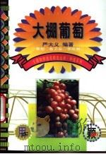 大棚葡萄 1999 PDF电子版封面 7801196961 严大义编著