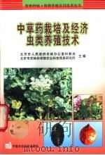 中草药栽培及经济虫类养殖技术 1999 PDF电子版封面 7801197917 北京市人民政府农林办公室科教处,北京市农林科学院农业科技信息