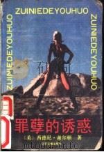 罪孽的诱惑 1989 PDF电子版封面 7805022577 (美)西德尼·谢尔登著;江松,杨卫奇译