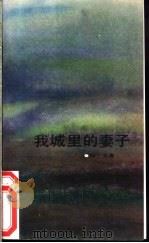 我城里的妻子 1992 PDF电子版封面 7500810261 极光著