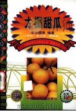 大棚甜瓜 1999 PDF电子版封面 7801196988 李长缨等编著