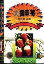 大棚草莓 1999 PDF电子版封面 780119697X 刘洪旗主编