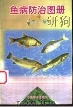 鱼病防治图册 1997 PDF电子版封面 7800960803 曾立文编