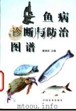 鱼病诊断与防治图谱 1999 PDF电子版封面 7109054136 黄琪琰主编