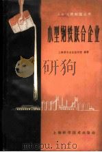 小型钢铁联合企业 1959 PDF电子版封面 15119·1339 上海黑色冶金设计院编著
