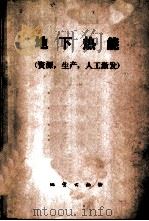 地下热能 资源,生产,人工激发 1977 PDF电子版封面 15038·新206 (美国)P.克鲁格尔,C.奥特编;施洪熙,佟伟等译