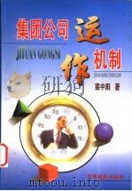 集团公司运作机制 1998 PDF电子版封面 7501721157 裴中阳著