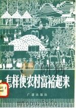 怎样使农村富裕起来 广播对话 1981 PDF电子版封面 4236·003 北京人民广播电台农村部编
