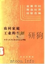 农村家庭工业的兴起 1985 PDF电子版封面 4144·596 农牧渔业部编