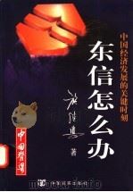 中国经济发展的关键时刻:东信怎么办 1998 PDF电子版封面 7801281268 施继兴著
