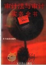 审计法与审计实务全书 1995 PDF电子版封面 7540201428 审计法与审计实务全书编委会编写