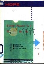 Turbo Pascal 6·0 1991 PDF电子版封面 娅雯等编译