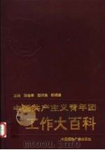 中国共产主义青年团工作大百科 1993 PDF电子版封面 7507809447 张修学等主编