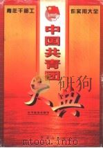 中国共青团大典 青年干部实用工作大全 1996 PDF电子版封面 7800689506 孟学文主编;《中国共青团大典》编委会编