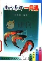 淡水养虾一月通 1998 PDF电子版封面 7810029207 刘文斌编著