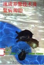 速成养鳖技术及鳖病防治 1997 PDF电子版封面 7539011521 彭金良,雷涌编著