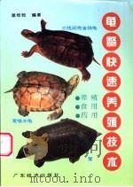 龟鳖快速养殖技术 1996 PDF电子版封面 7806320504 温桂敖编著