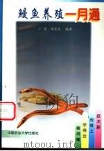 鳗鱼养殖一月通 1998 PDF电子版封面 7810028960 丁雷,岳永生编著
