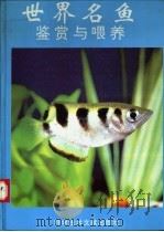 世界名鱼鉴赏与喂养 1993 PDF电子版封面 7502318844 北京罗福公司信息部编著