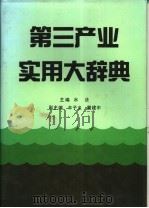 第三产业实用大辞典   1994  PDF电子版封面  7800358755  水法主编 