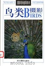 鸟类摄影 1998 PDF电子版封面 7805364761 (美)艾伦·罗卡奇(Allen Rokach),(美)安妮·