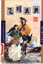 飞羽天关 1998 PDF电子版封面 7805998604 (台湾)司马翎著