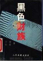 黑色财族 1995 PDF电子版封面 7800562670 宇剑,红岩著