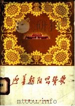 迎着朝阳唱赞歌 1972 PDF电子版封面 10100·012 徐州市工人写作组编著