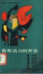 青年活力的开发 观念 理解 技艺 管理 效率 实力 1988 PDF电子版封面 7530402099 吕晓明等著