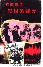拷问政治怨恨的爆发（ PDF版）