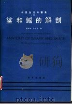 中国鱼类专著集 3 鲨和鳐的解剖 1992 PDF电子版封面 750271023X 孟庆闻,李文亮著