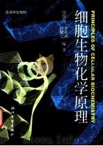 细胞生物化学原理 1999 PDF电子版封面 7308020665 钱凯先等编著