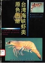台湾海峡虾类原色图册 1993 PDF电子版封面 7533506901 福建省水产厅主编;黄宗强等编写