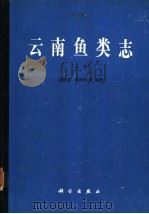 云南鱼类志 上 1989 PDF电子版封面 7030009398 褚新洛,陈银瑞等编著
