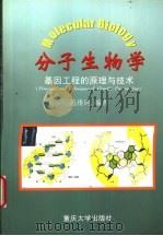 分子生物学 基因工程的原理与技术 1999 PDF电子版封面 7562420173 范维珂编著