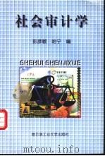 社会审计学 1999 PDF电子版封面 7560313736 彭彦敏,哈宁编
