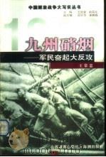 九州硝烟  军民奋起大反攻   1999  PDF电子版封面  7544018377  王常忠编著 