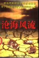 沧海风流 1996 PDF电子版封面 7541114693 冷梦著