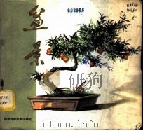 盆景 1980 PDF电子版封面 8202·1 黄景离,武秀兰,刘志堂,何启泽编
