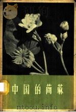 中国的苘麻 1959 PDF电子版封面 16144.546 涂敦鑫等著